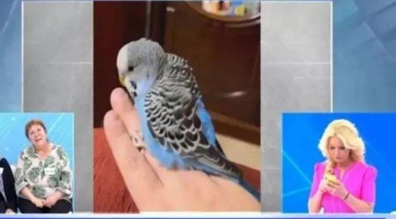 Kim Milyonler Olmak İster'e Müge Anlı damga vurdu - Resim: 3